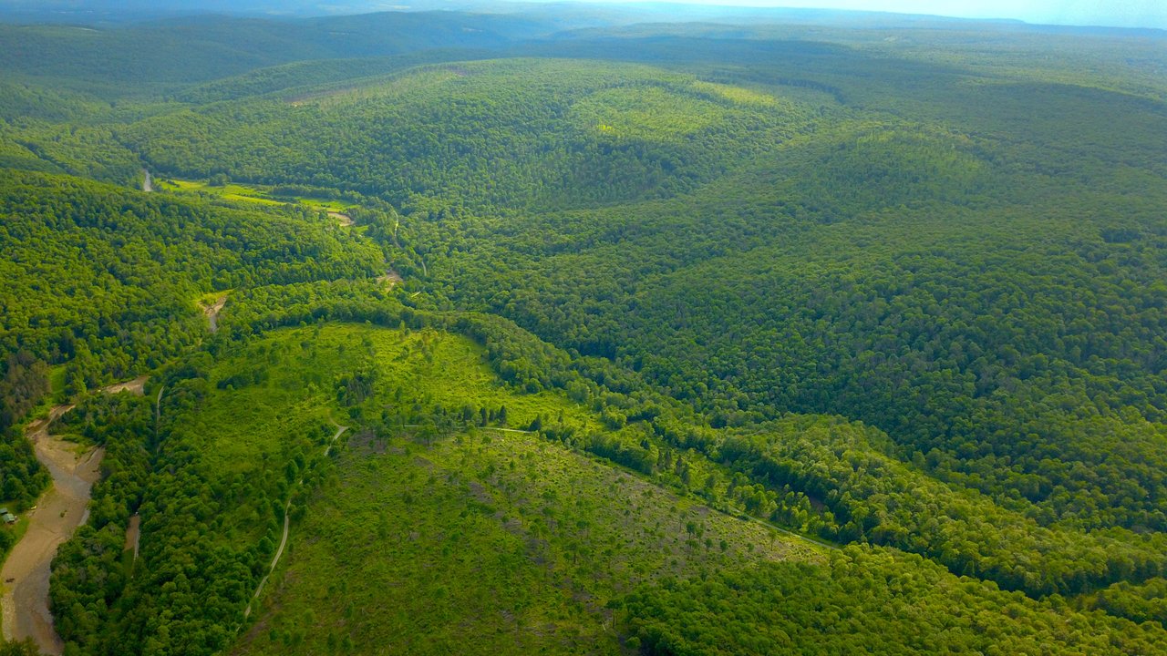 Hidden Valley And The Old Ghost Logging Town Of Laquin Partiko