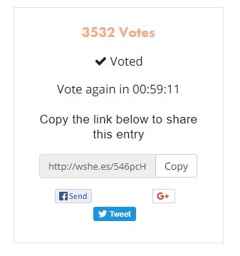 my f vote.jpg