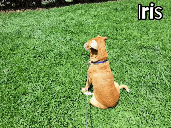1000033759.gif
