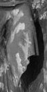 Banksy ele grey scale small detail.jpg