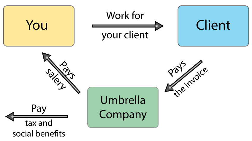 Flowchart-of-Umbrella-Employment.gif