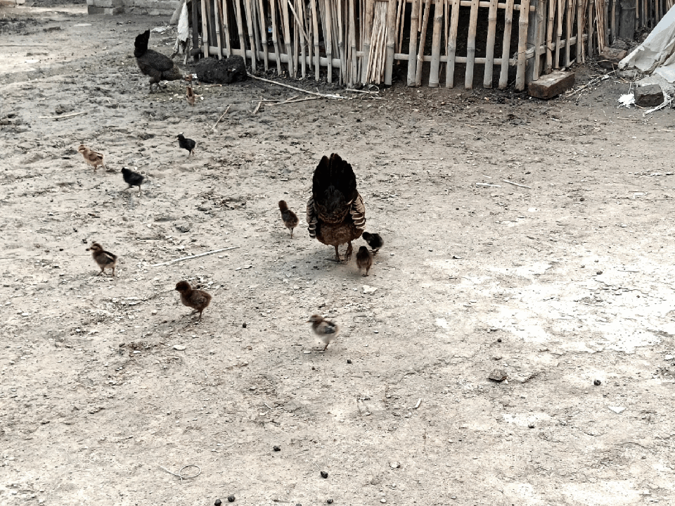 1000094224.gif