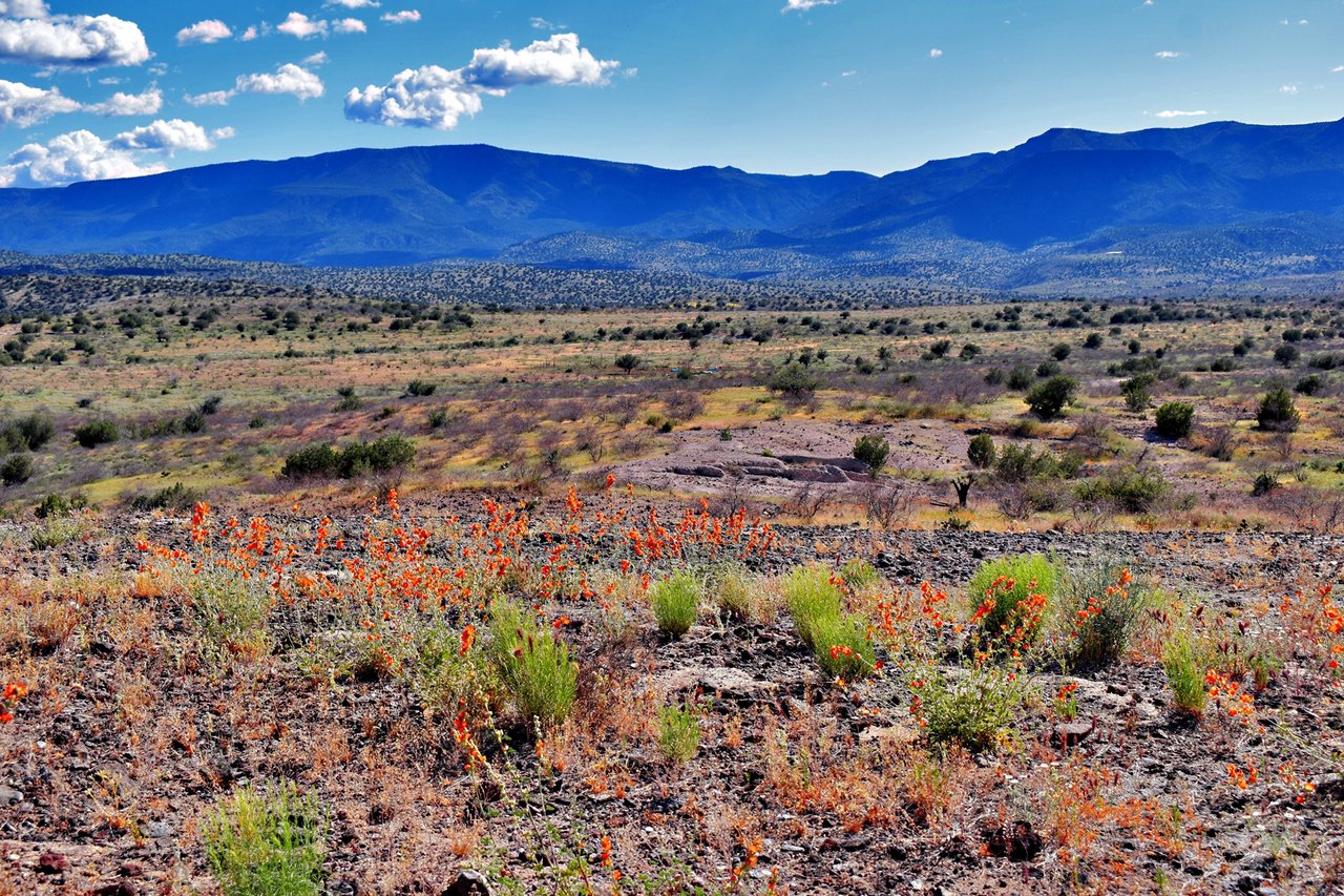 mountain orange 8x12.jpg