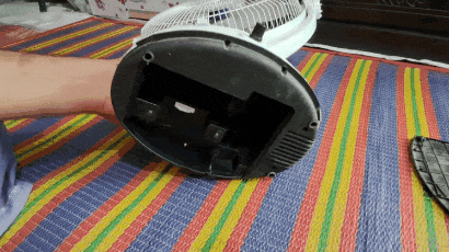 1000019261.gif