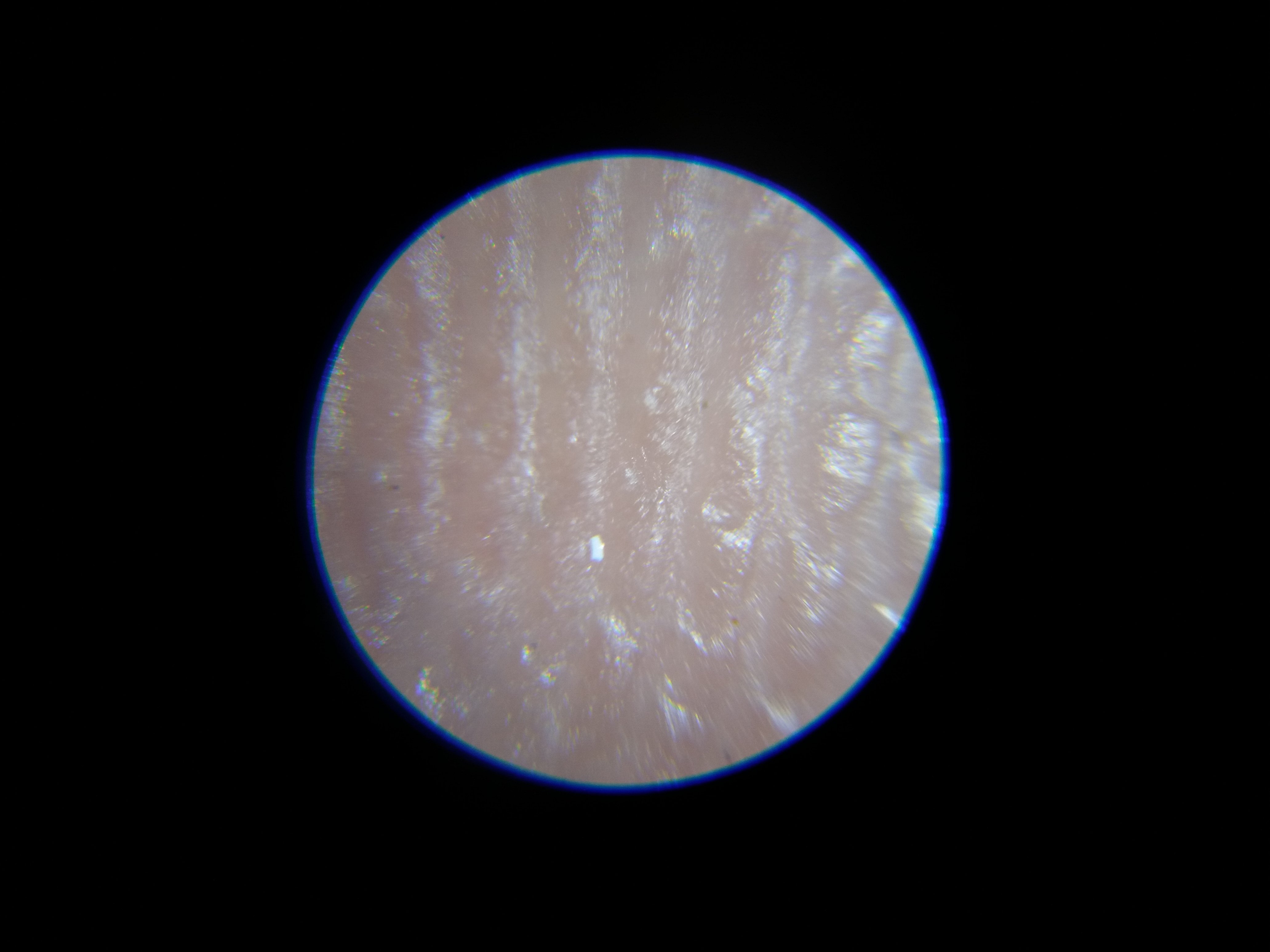 20180914_090742.jpg