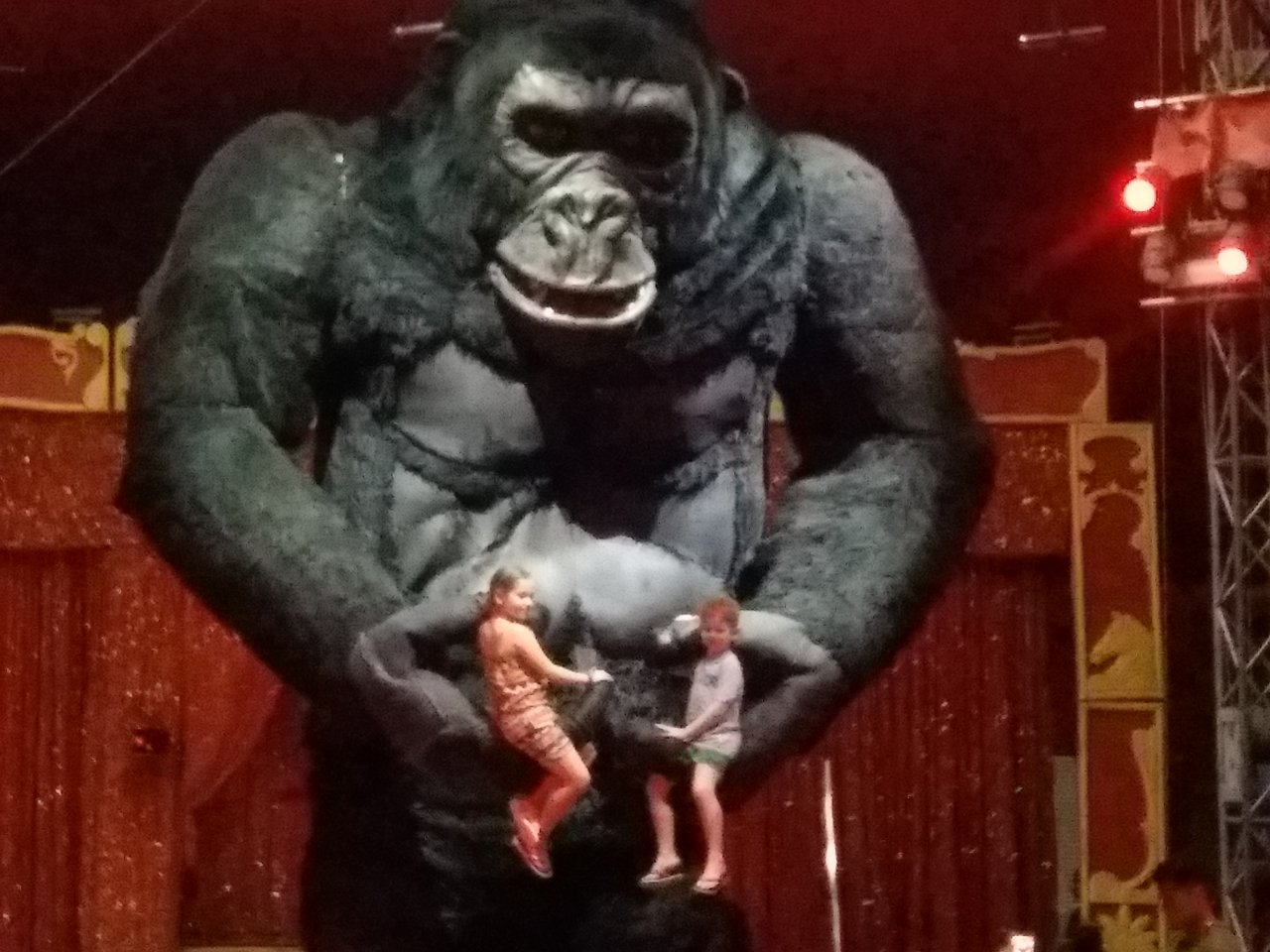 20190622_230843.jpg