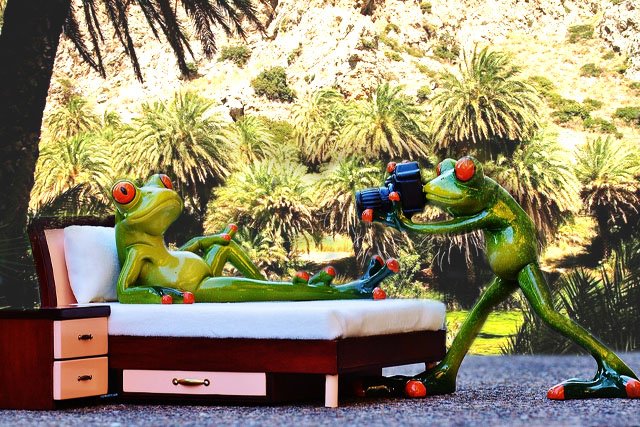 Frogs.jpg