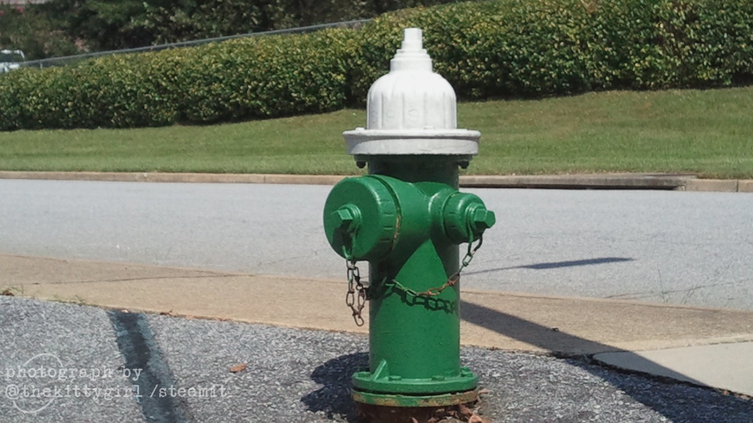 Hydrant.jpg