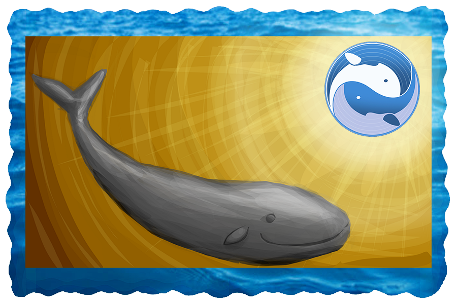 whale.png