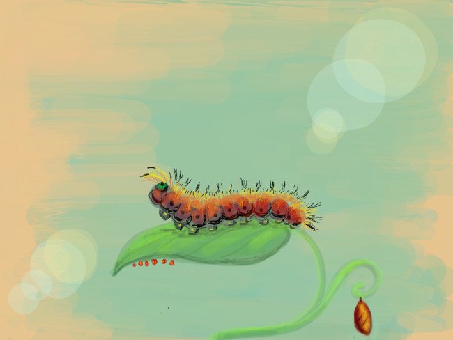 caterpillar.jpg