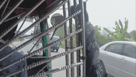 GIF_20250401_123919_823.gif