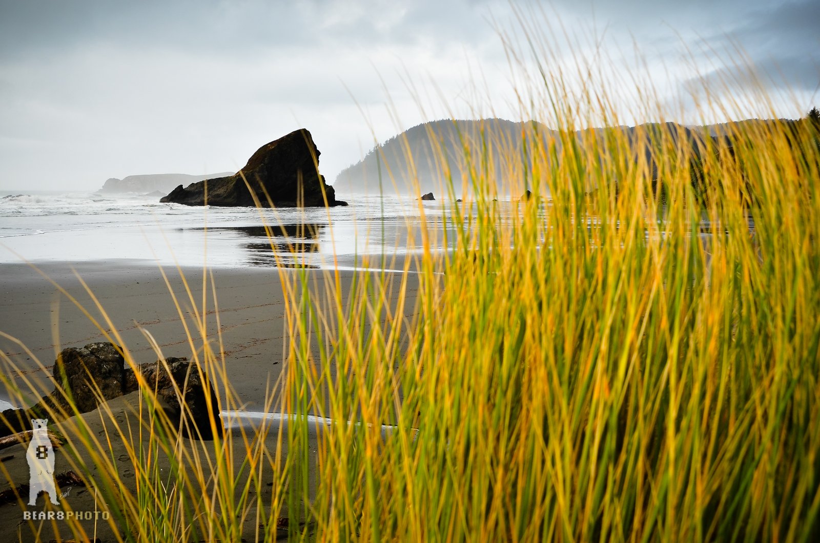Behind The Tall Gr Myers Beach Oregon Usa Steemkr A Unique Perspective From Behind The Tall Gr Myers Beach Oregon Usa
