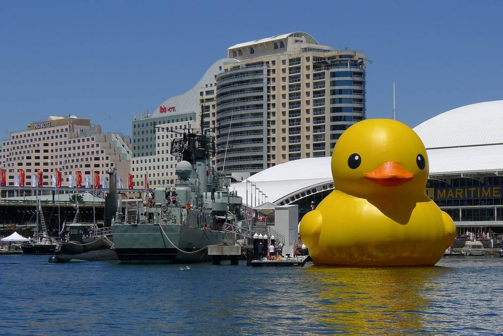 sydney australia rubber duck 5.jpg