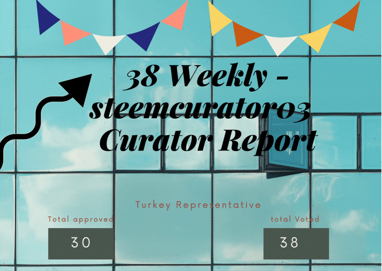 Second Weekly -steemcurator03 Turkey Curator Report (1).gif