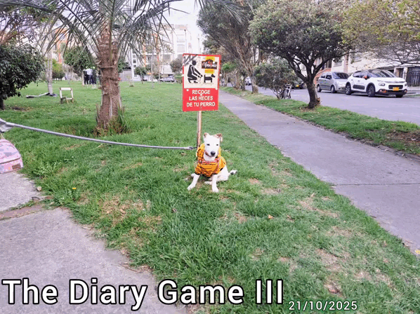 1000038041.gif