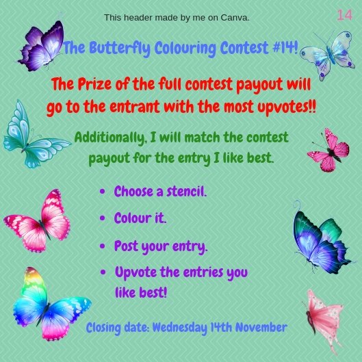 Butterfly Colouring Contest 14.jpg