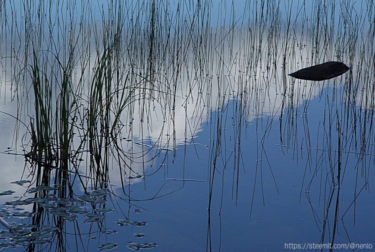 reflejos01.jpg