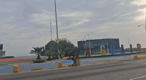 1000213784.gif