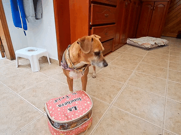 1000014076.gif