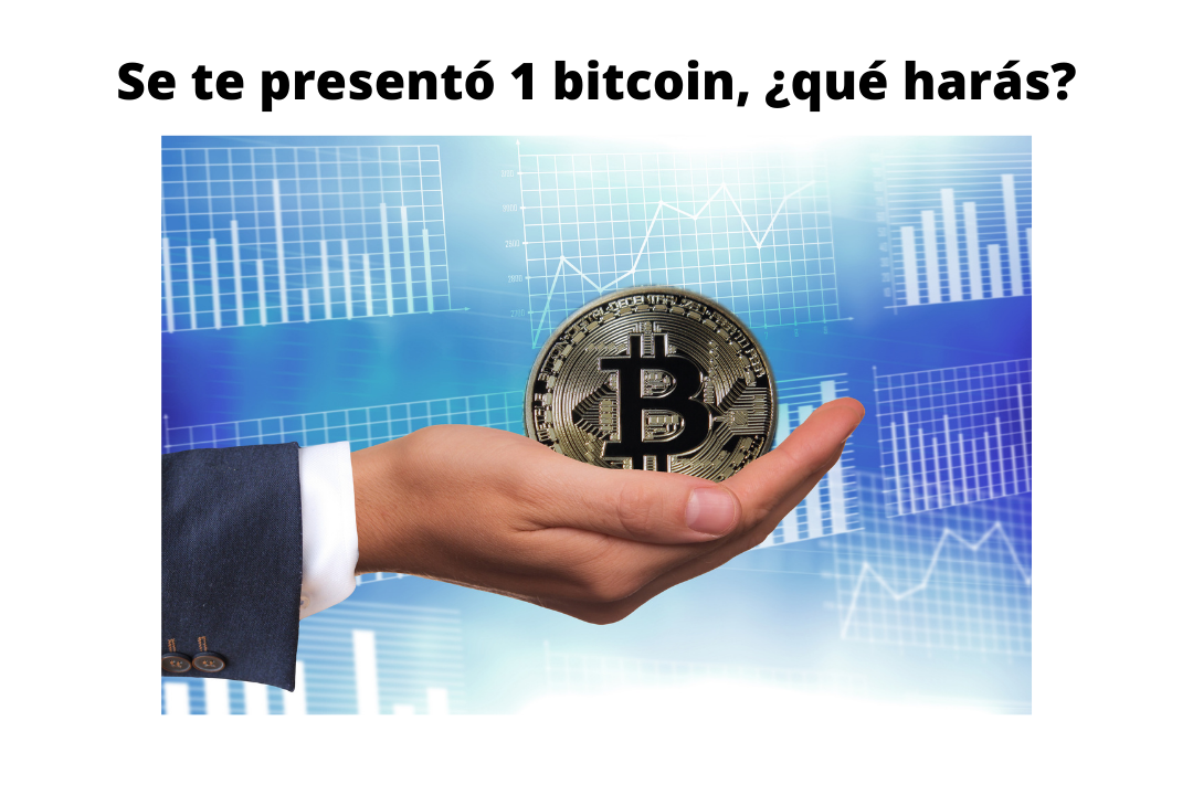 Se te presentó 1 bitcoin, ¿qué harás.png