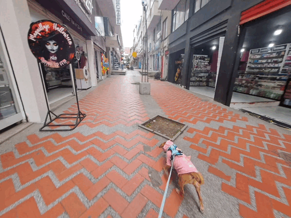 1000035939.gif