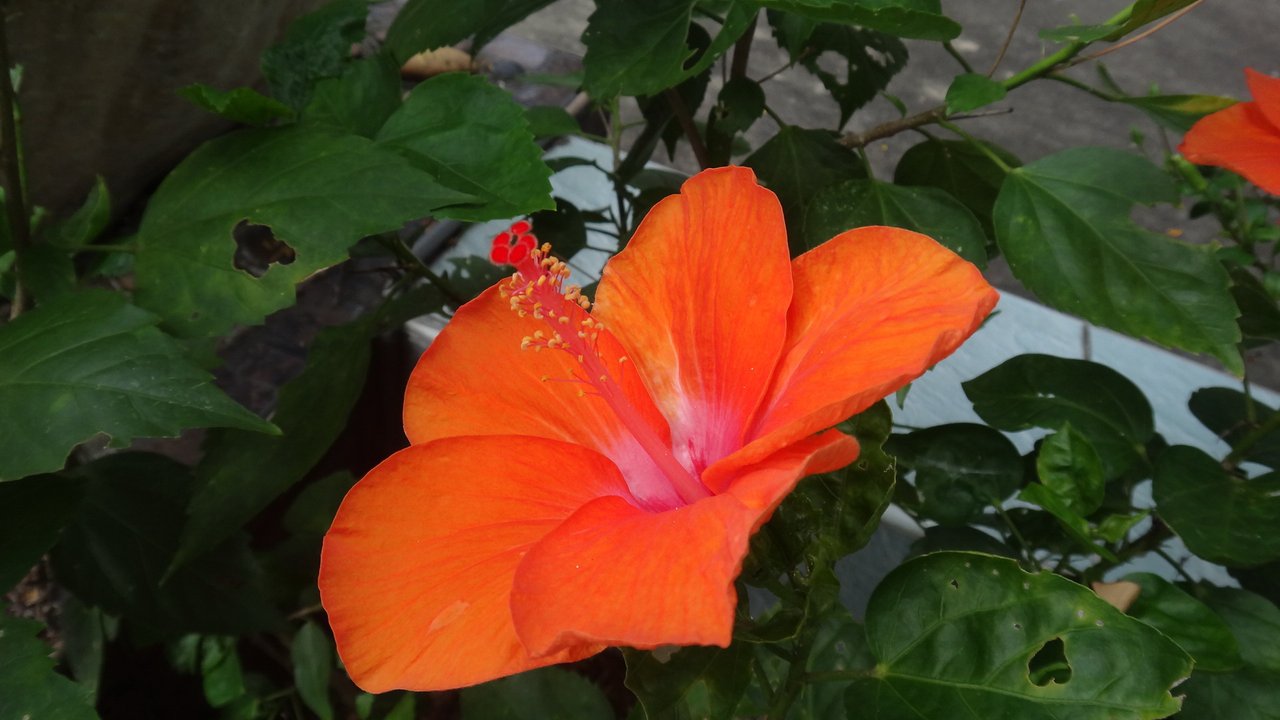 DSC03894.JPG