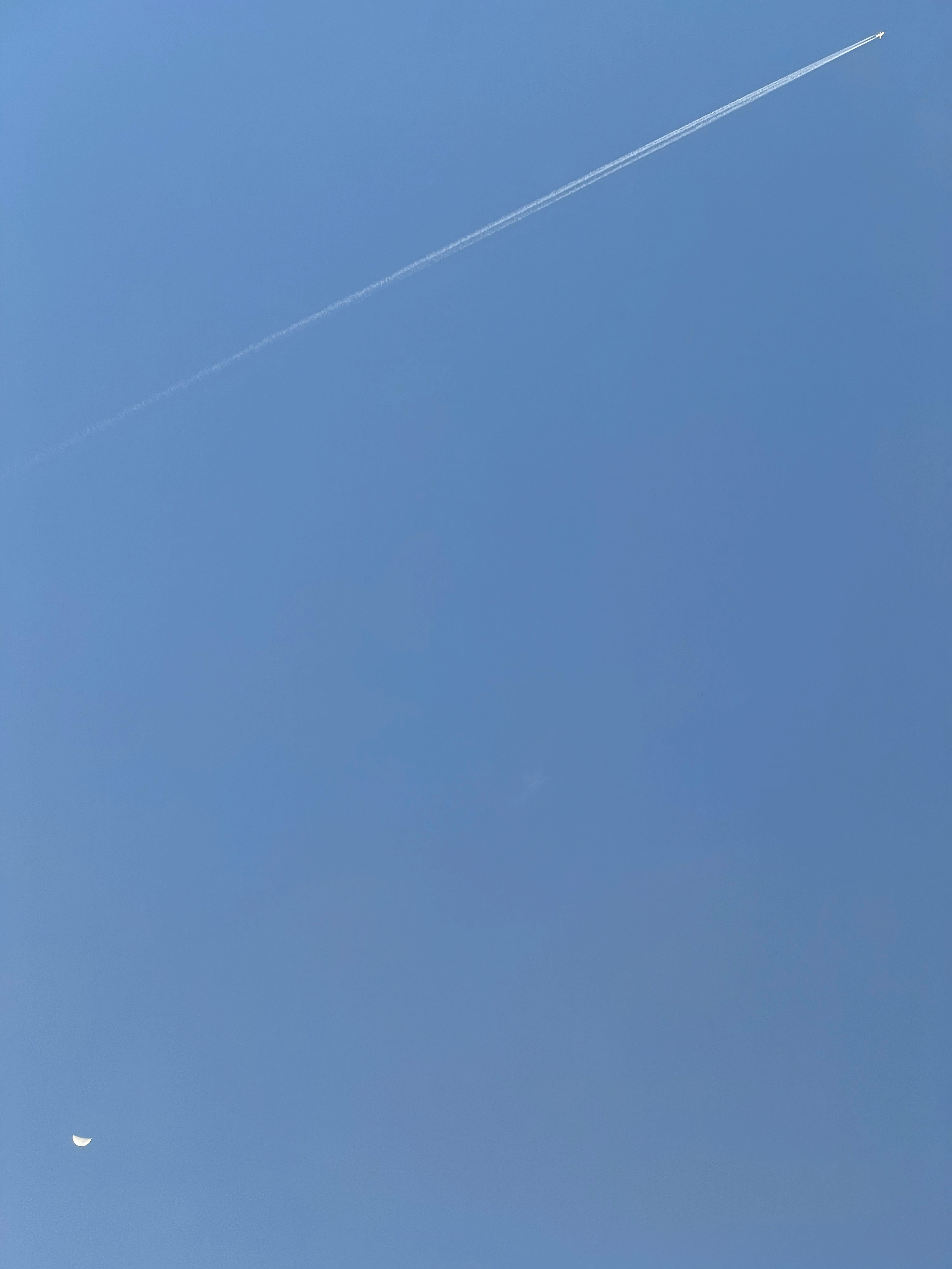 Untitled-1.gif