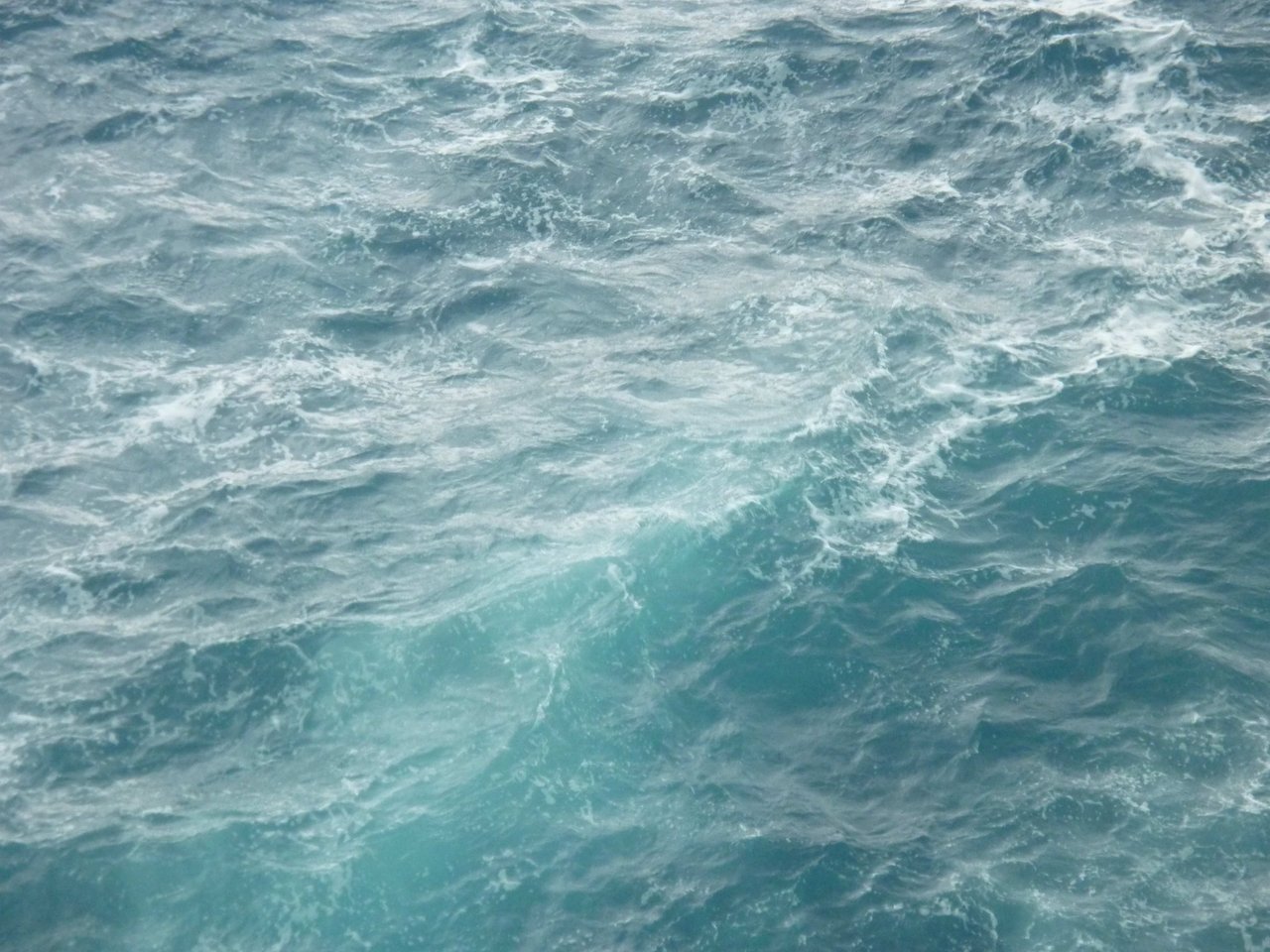 Mare azzurro.jpg