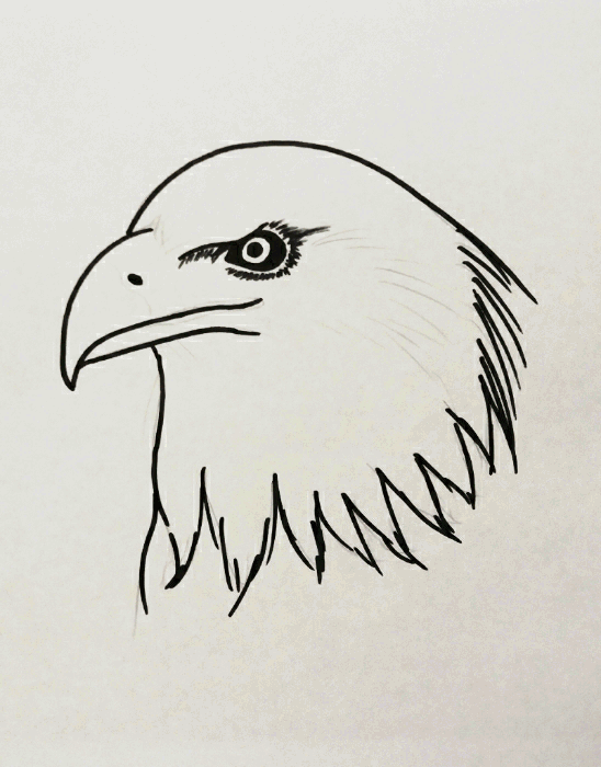 eagle.1..gif