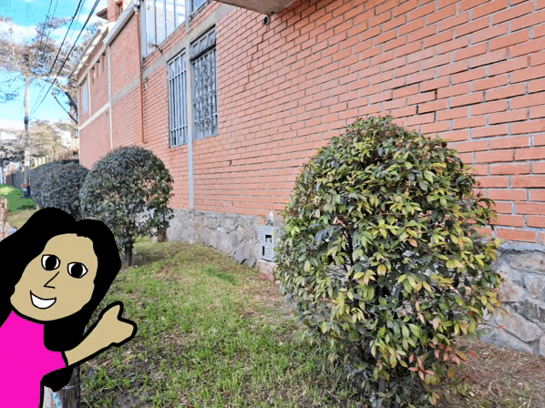 1000025230.gif