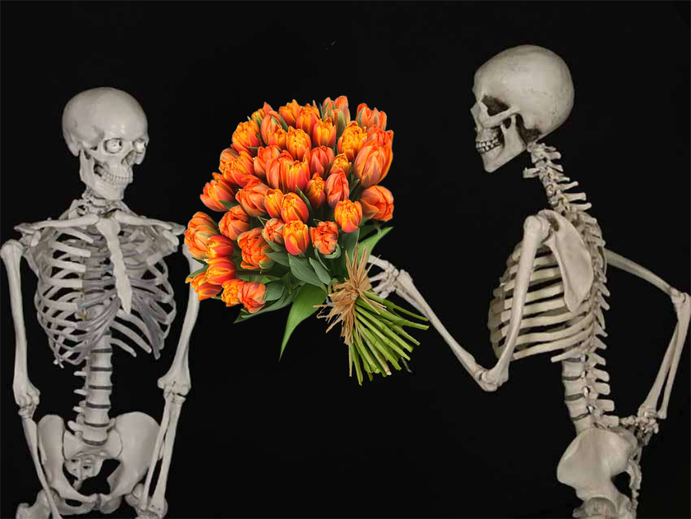 image01.png