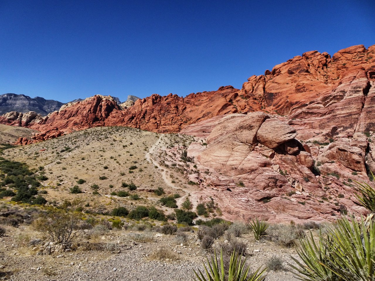 red rock 4.jpg