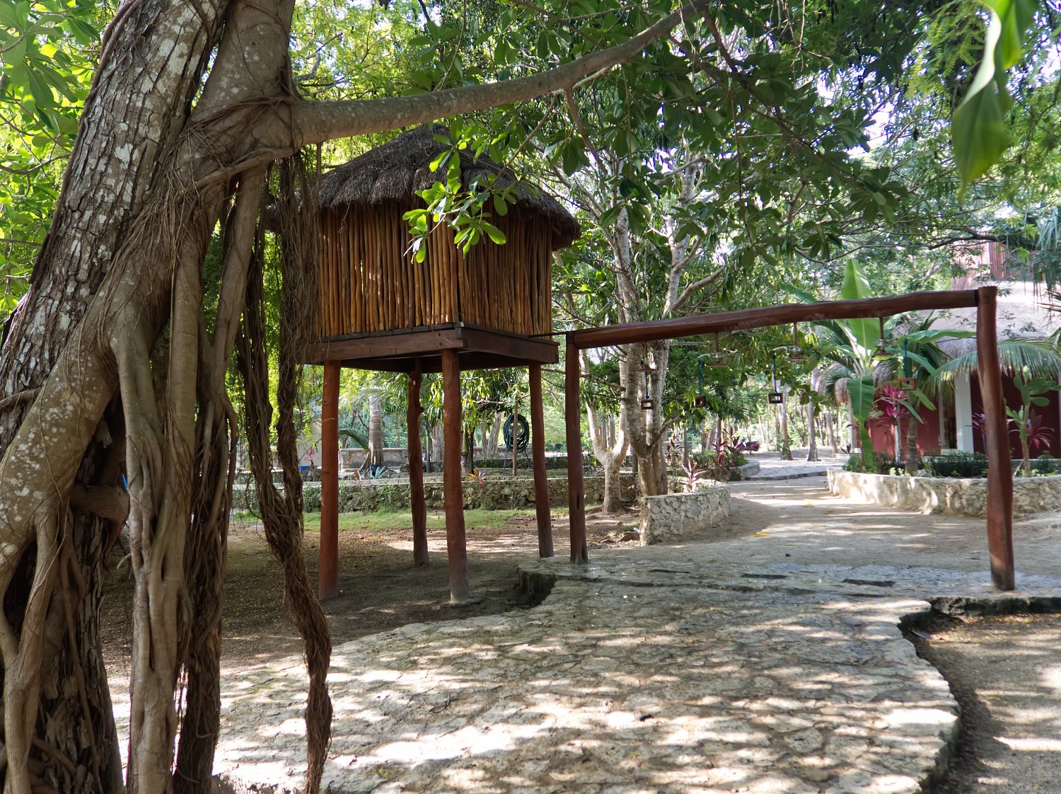 P7170123-showers-grand-cenote.jpg