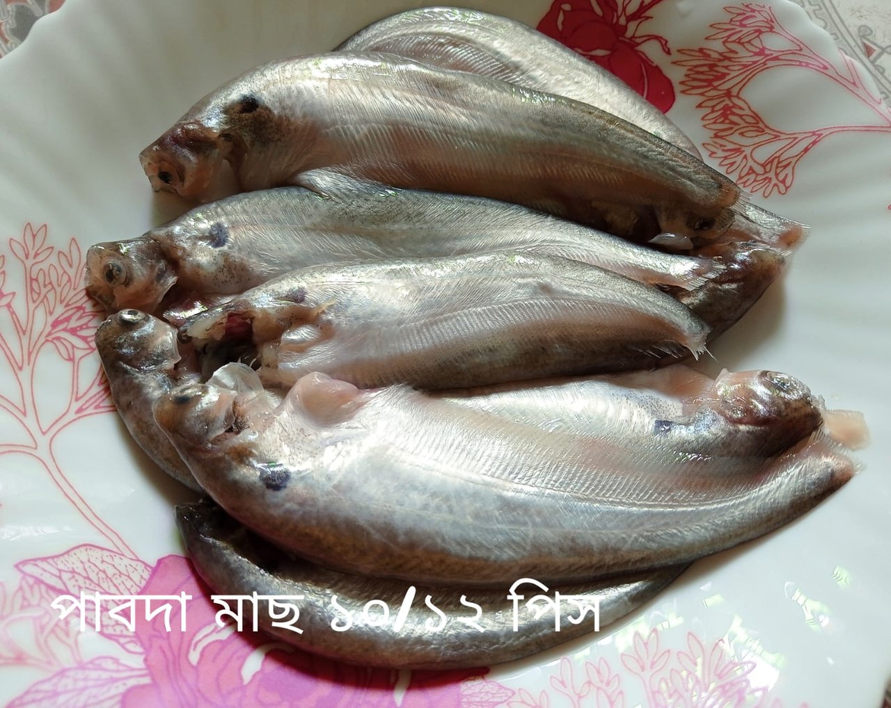 IMG-20210909-WA0003.jpg
