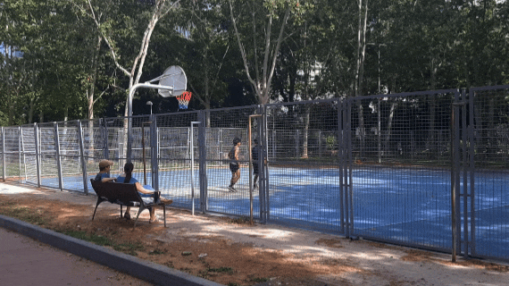 InShot_20250808_120023387.gif