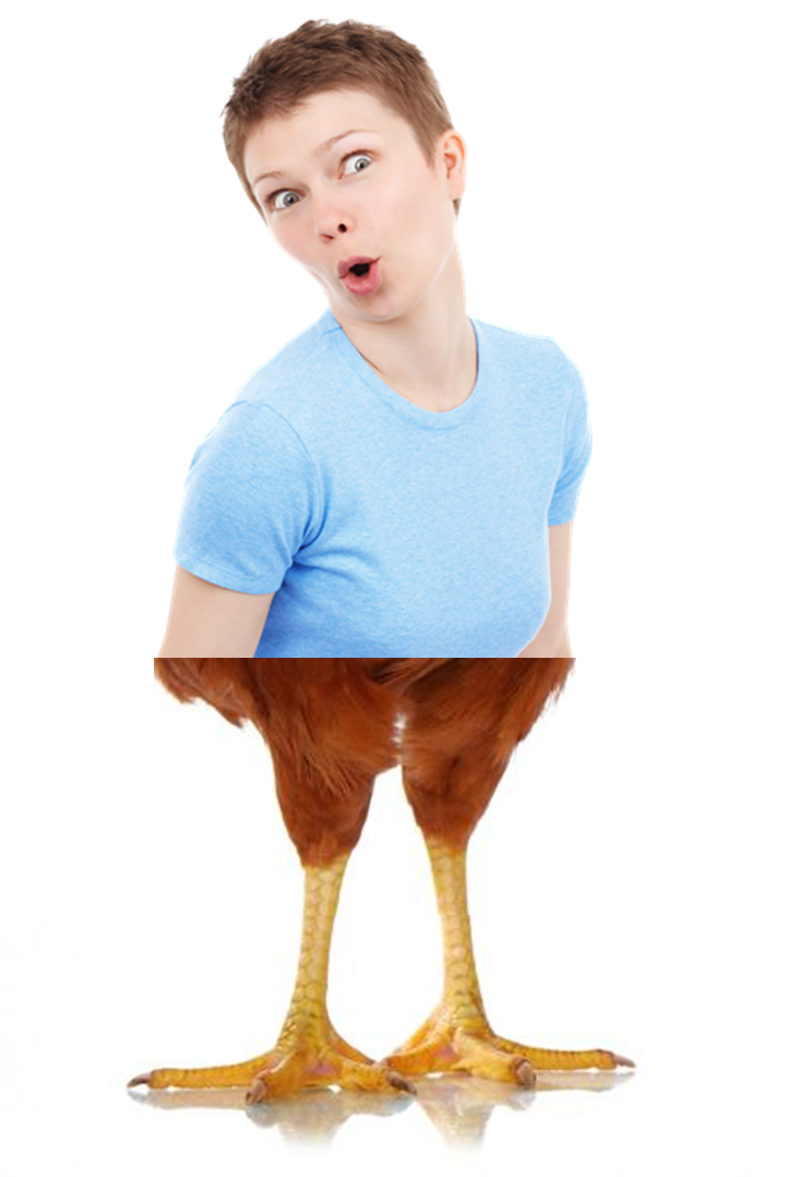 Imagen11.png