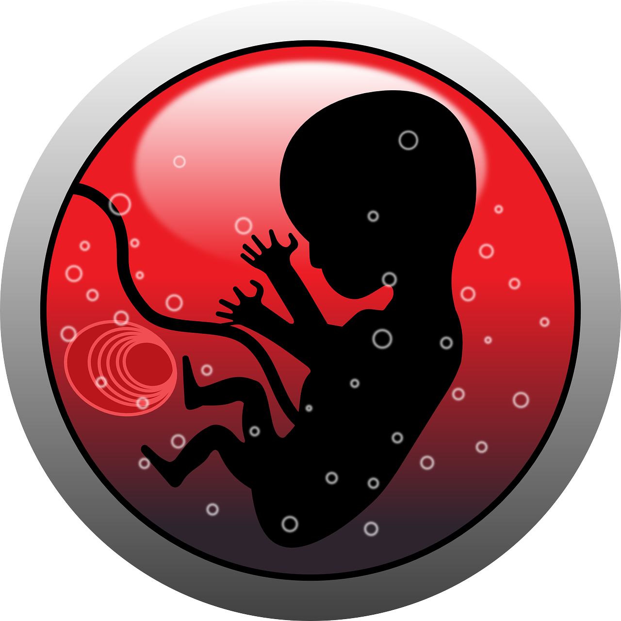 embryo-159691_1280.png