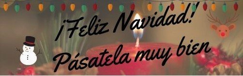 ¡Feliz Navidad! Pásatela muy bien 2 (2).jpg