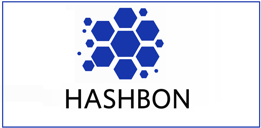 Image result for Hashbon ico reviews