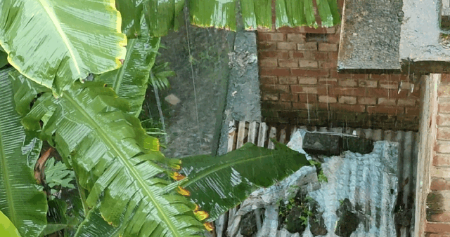 1000062311.gif