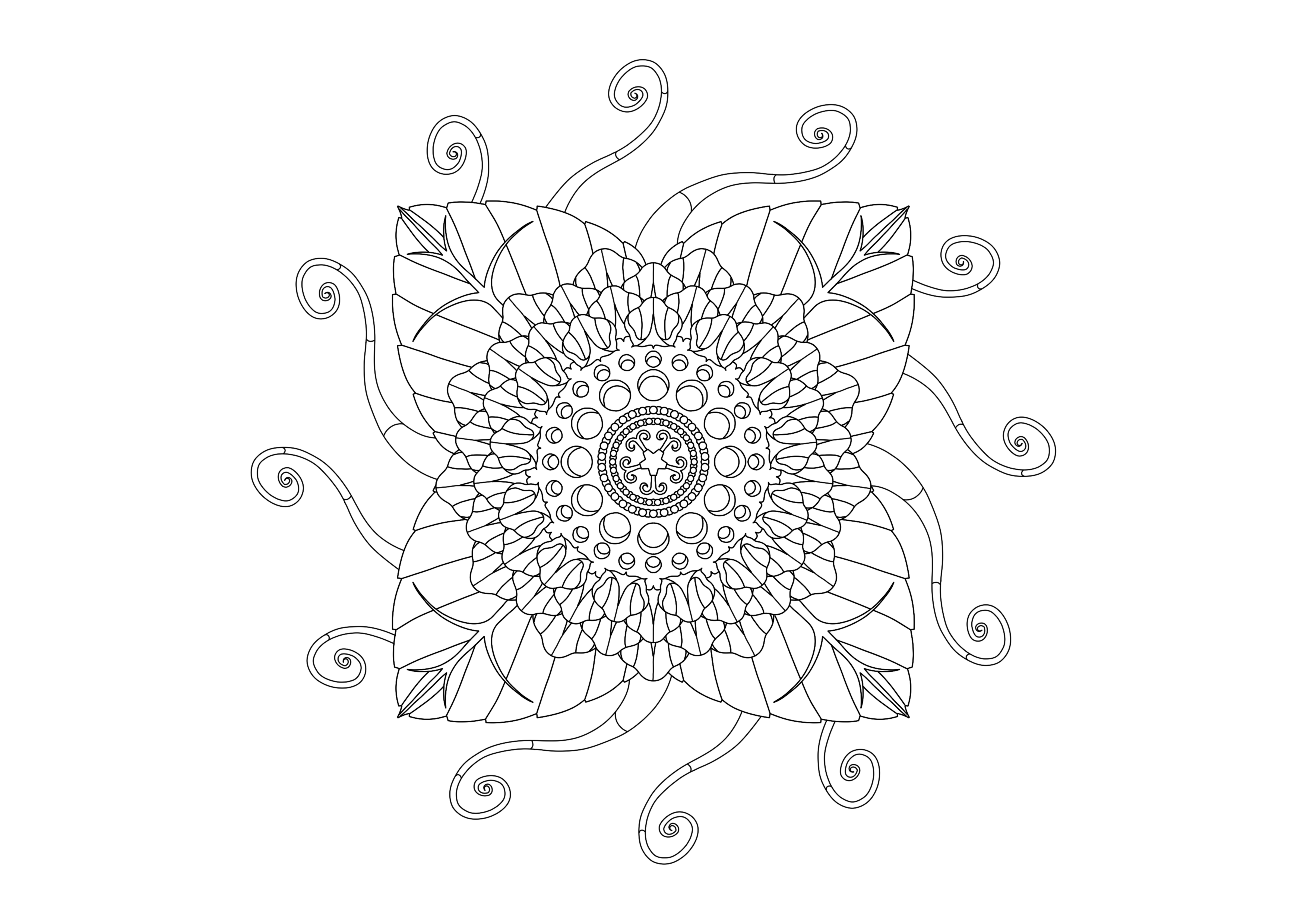 ZenColouringStencil-Week-24.png