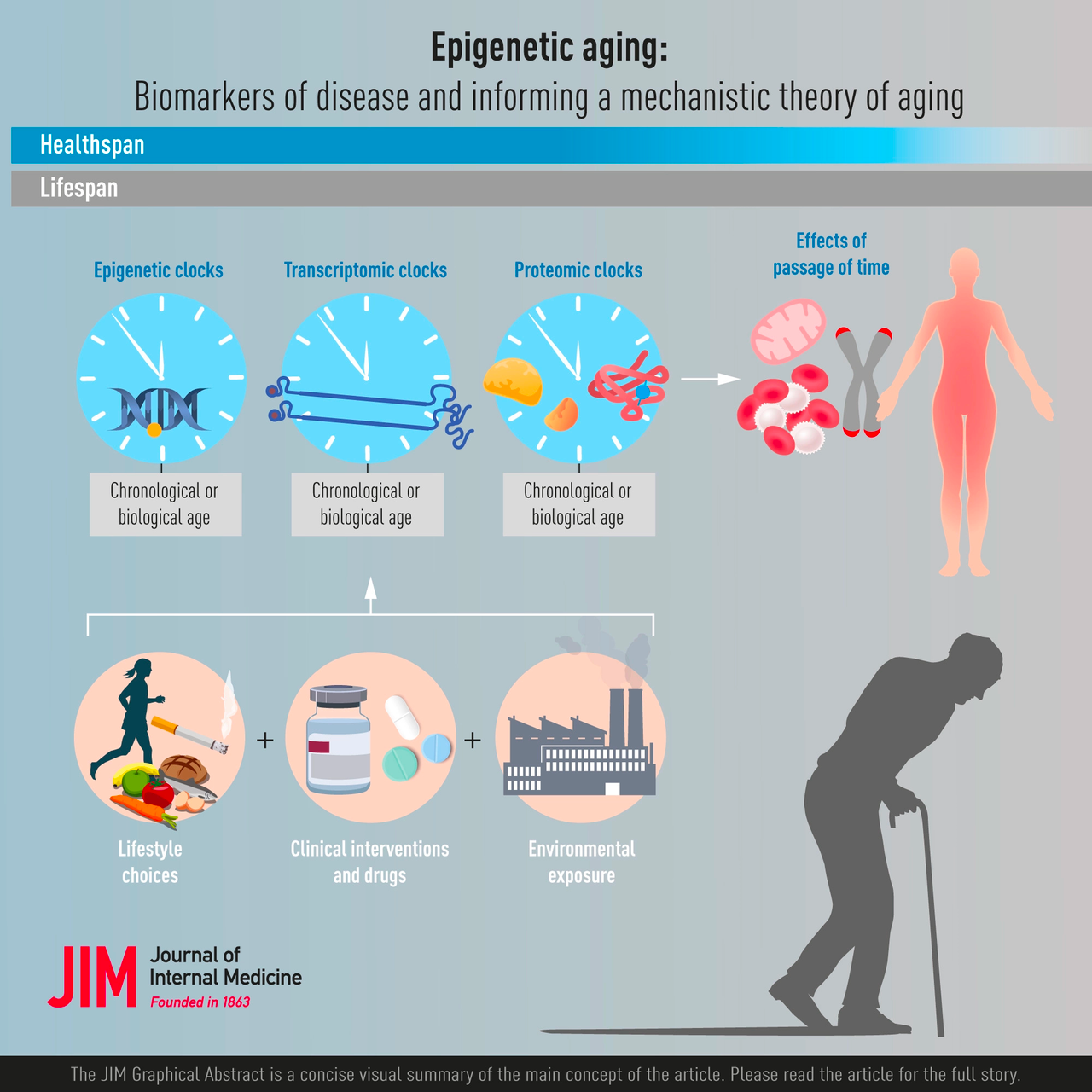 Epigenetic information may be the main origin of aging/La información ...