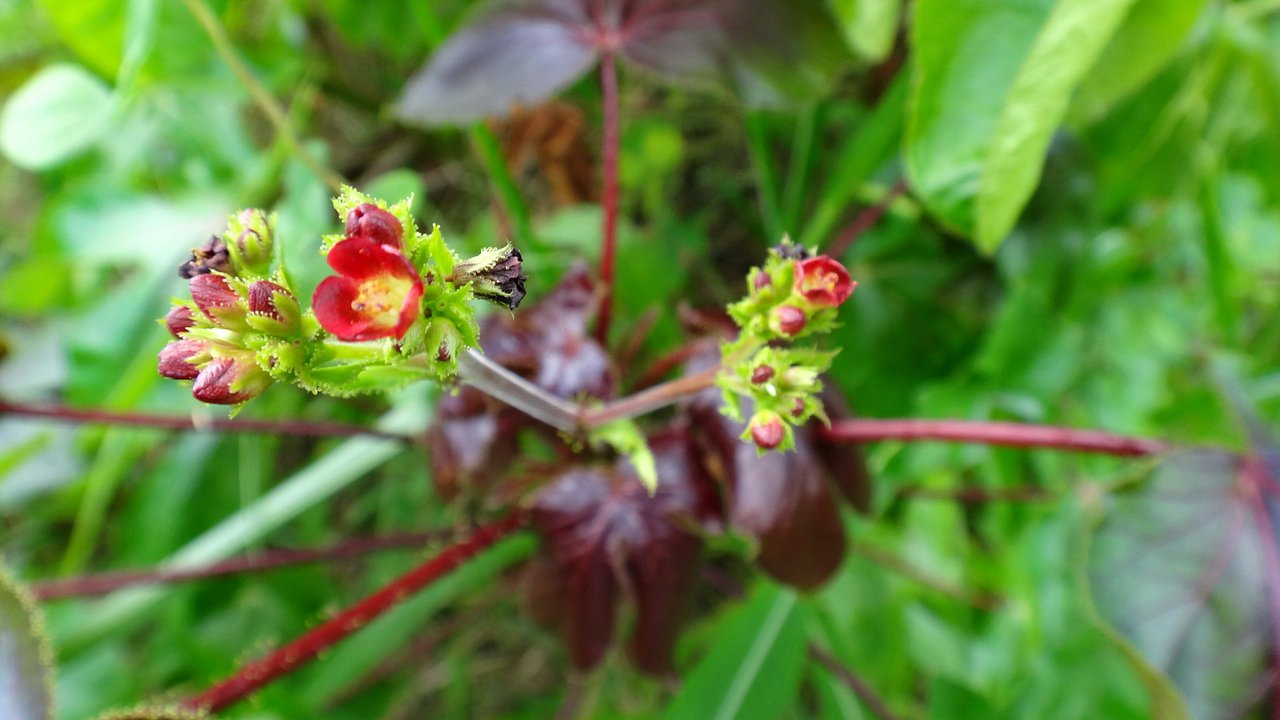 DSC03690.JPG