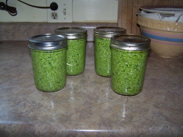 Garlic scape pesto crop June 2016.jpg