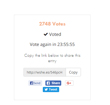 vote3.png