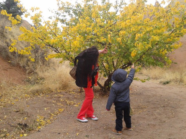 20131018_135257.jpg
