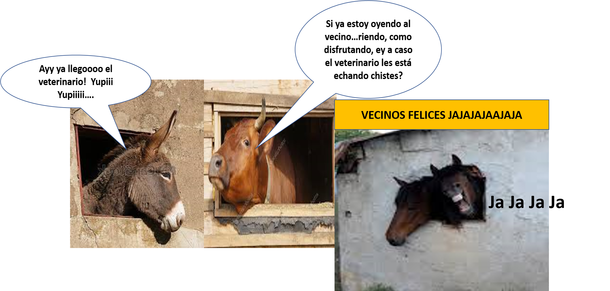Imagen 6entrada1.png