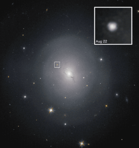 449px-NGC_4993_and_GRB170817A_after_glow.gif