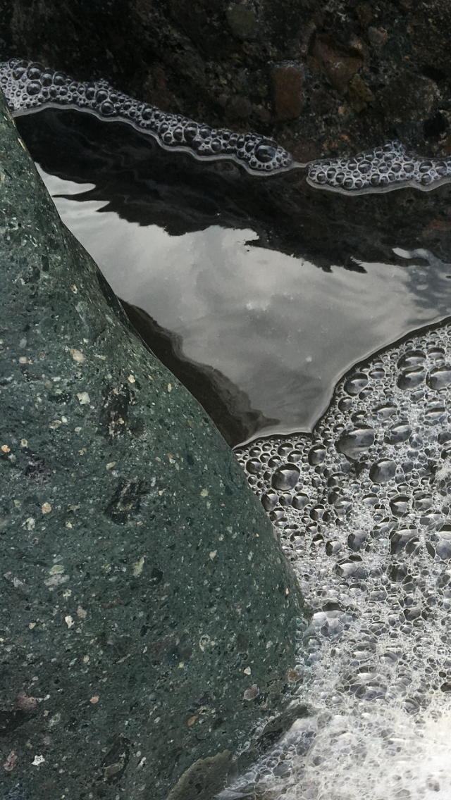 8E89FA7F-6112-4CAE-BB31-B160A5286126.png