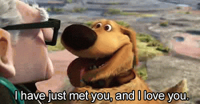 Dug-I-Have-Just-Met-You-and-I-Love-You-Up (1).gif